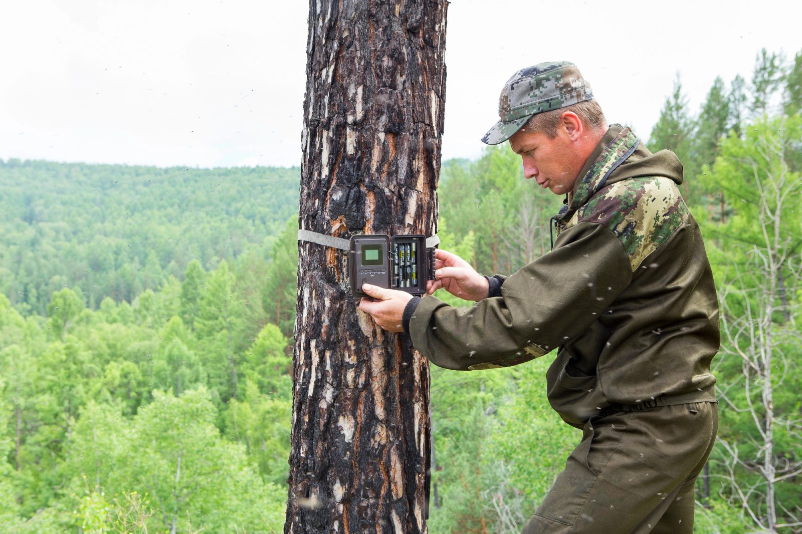 Danes je lovska kamera postala že del opreme vsakega lovca